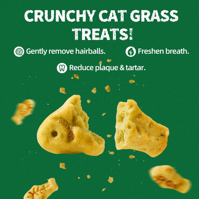 13.4 0Z Cat Grass Treats Salmon Oil Natural Salmon Flavor Kitten Healthy Cat Treats Training Biscuits Snacks Fish Oil Omega 3 Supplements for Cats