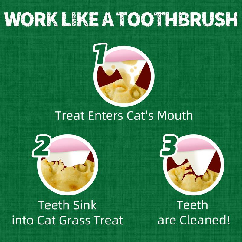 13.4 0Z Cat Grass Treats Salmon Oil Natural Salmon Flavor Kitten Healthy Cat Treats Training Biscuits Snacks Fish Oil Omega 3 Supplements for Cats